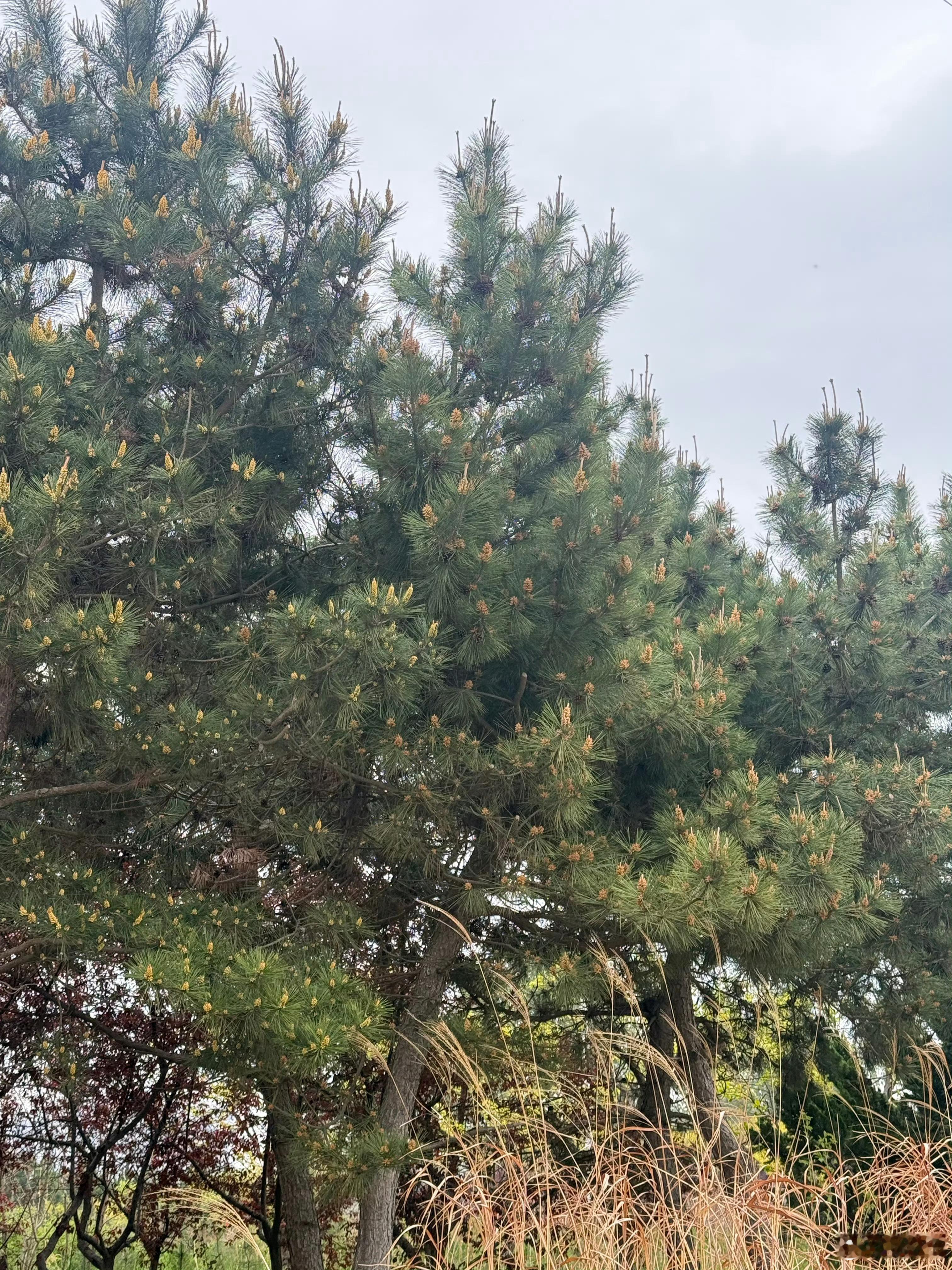 生命力强的人，有一个很反常识的特征，不怕烂开局别人一遇到挫折，就开始自我怀疑、情