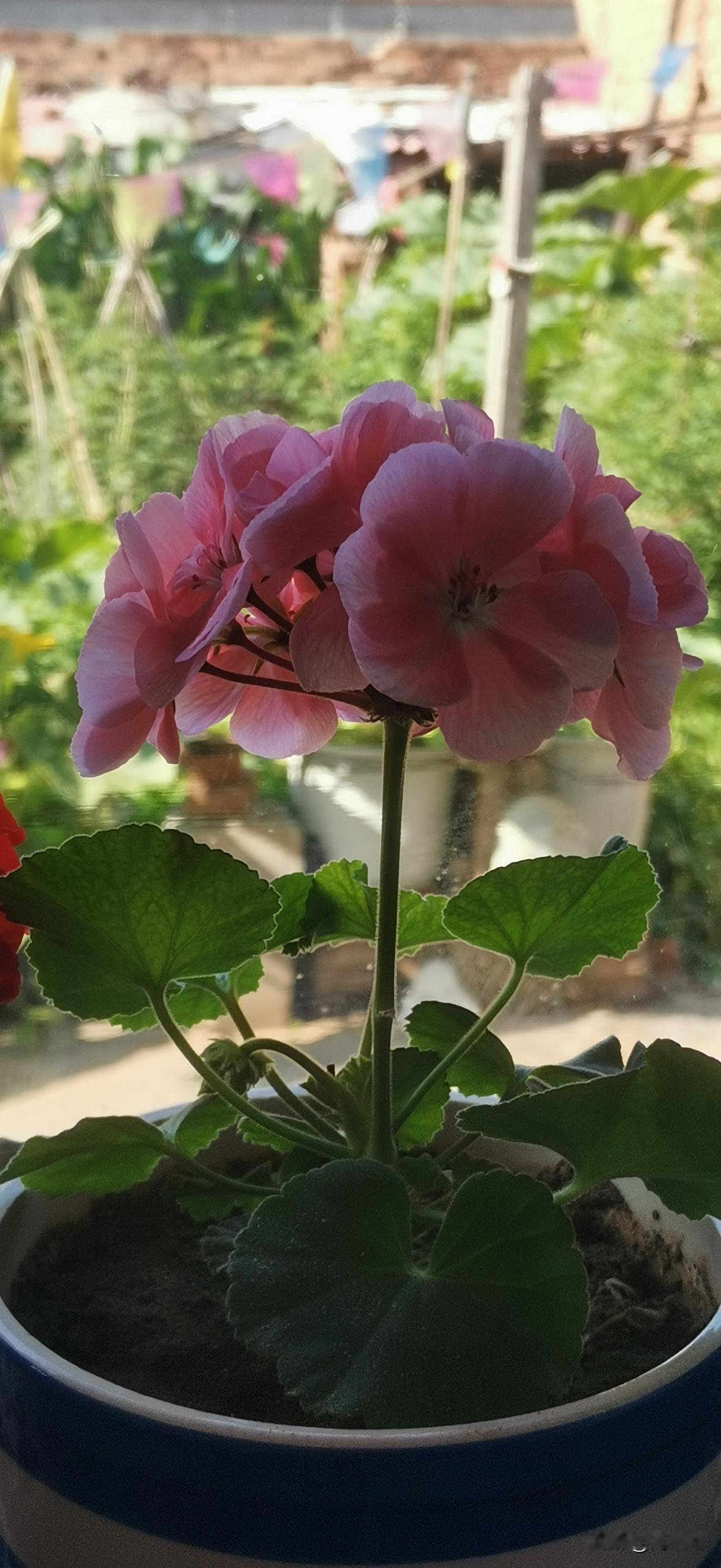 时光从不会言语，却默默见证所有成长，筛选所有真心。年少时莽撞冲动，急于求成，总想