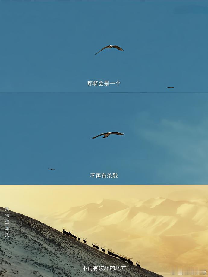 至此生命树已成艺术看完生命树直接被震撼到了！它用最纯粹的画面展现了生命的力量，枪