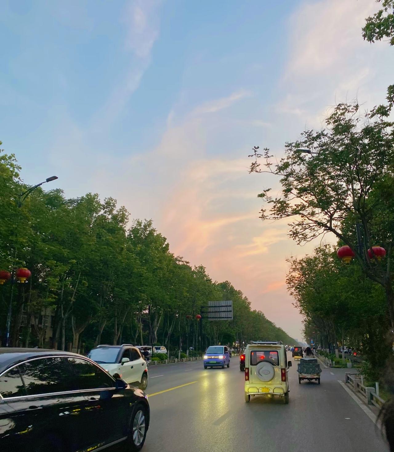 刘震云  ：）
在动物世界里
近则不逊，远则怨
成年人只筛选，不为口号去献身  