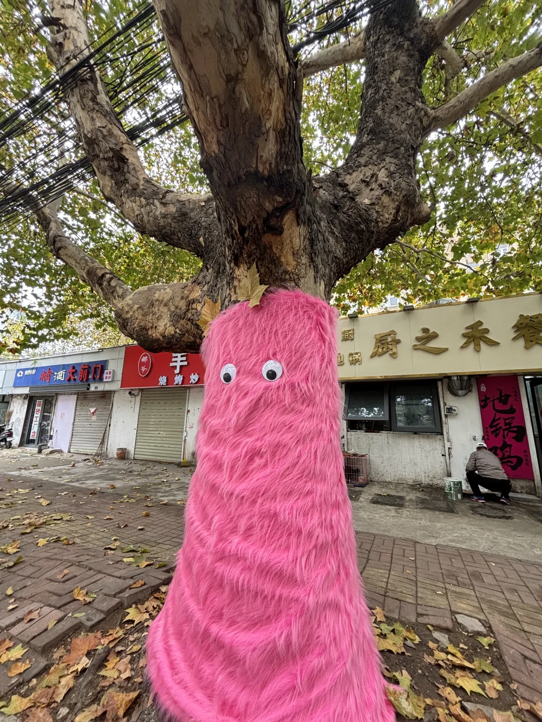 在徐州！！！！！好可爱呀！