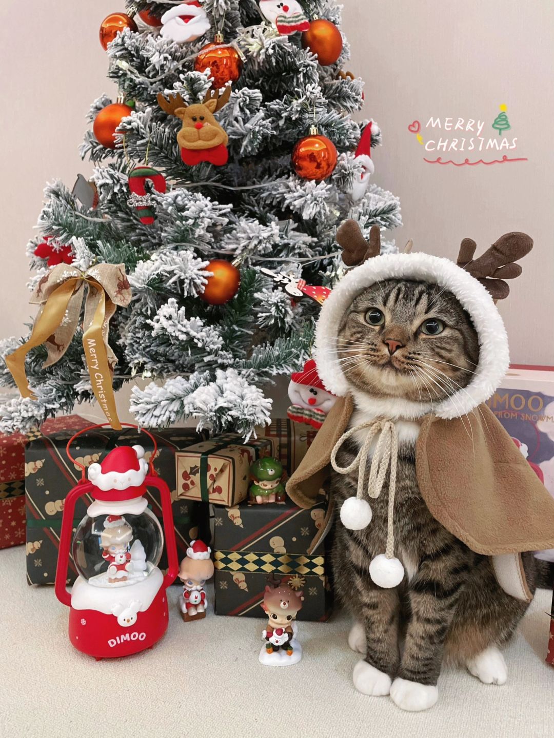0元搞定的猫咪圣诞手办，大家看看咋样？