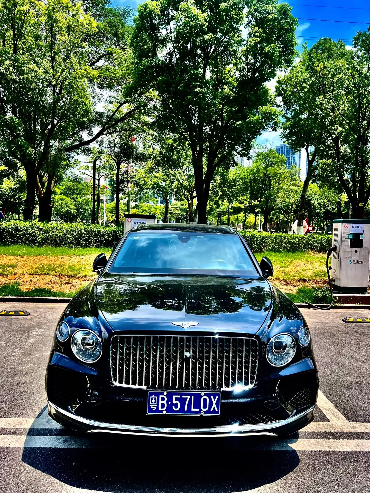 阳光下的英伦绅士真的太优雅了汽车