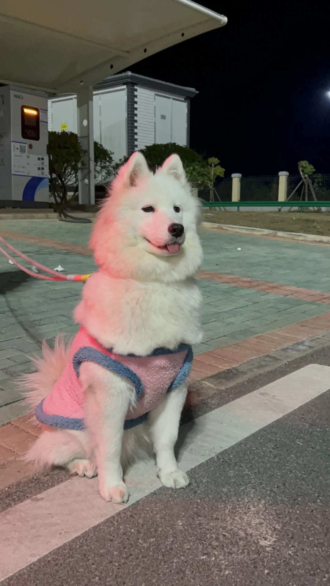 我胡汉三又回来啦！