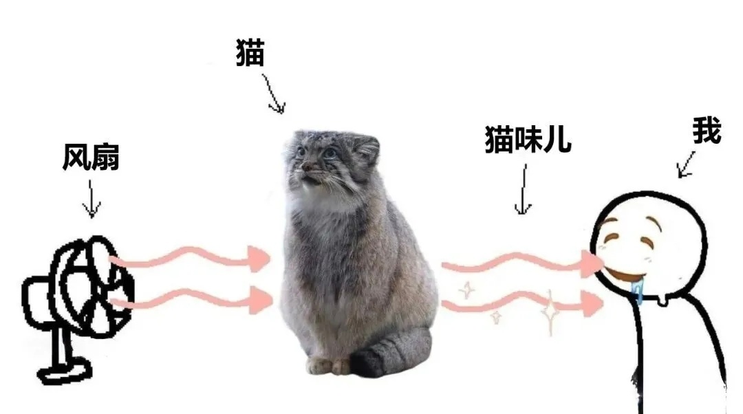 一时吸猫一时爽，一直吸就一直爽 ​​​