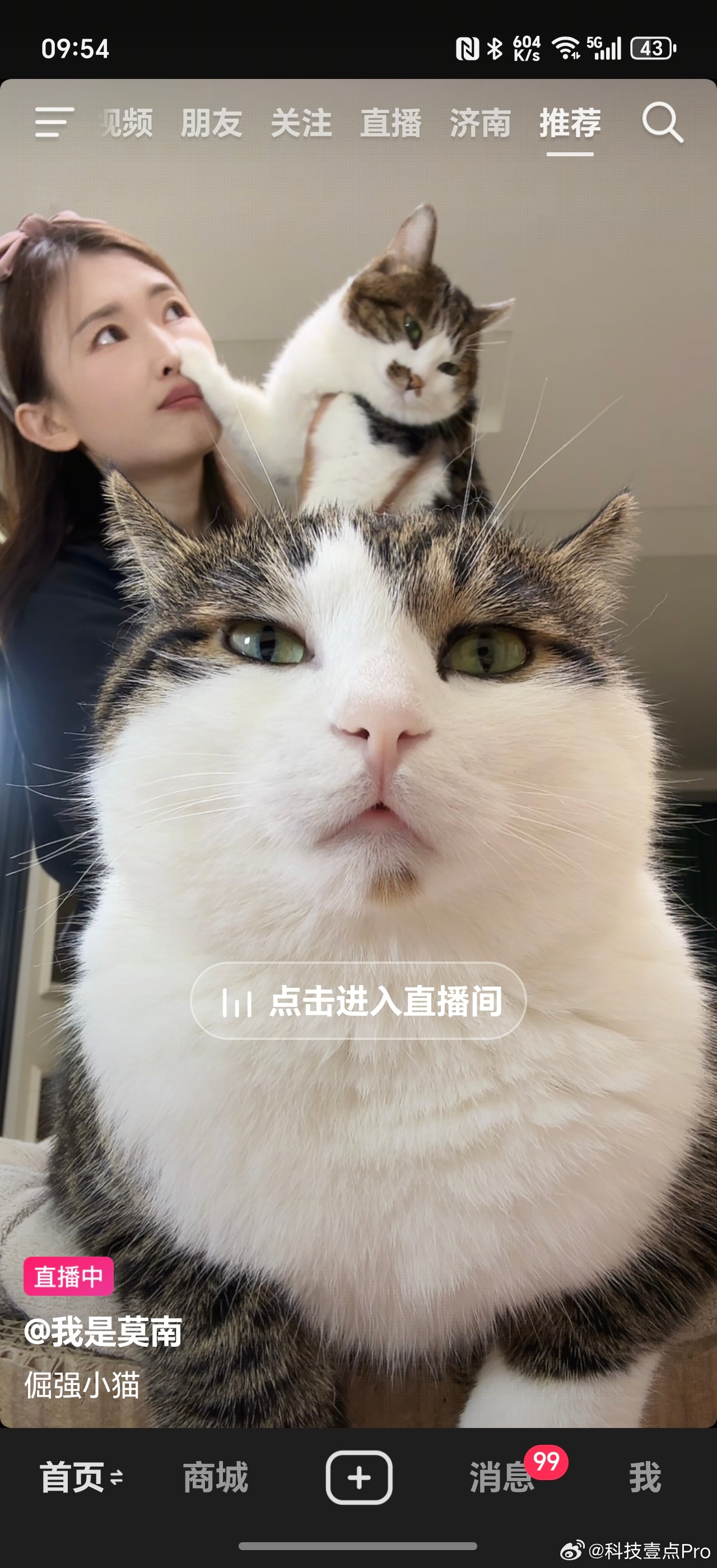 刷到一条直播，两猫一人，一动不动，直播间里有好几千人[允悲]我好奇，怎么说服这两
