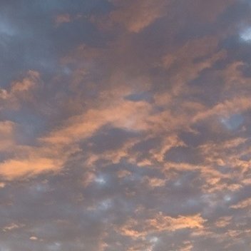 养养 很多时候我们痛苦，来源于总想要一个确定的结果。期待付出就有回报，期待真心被