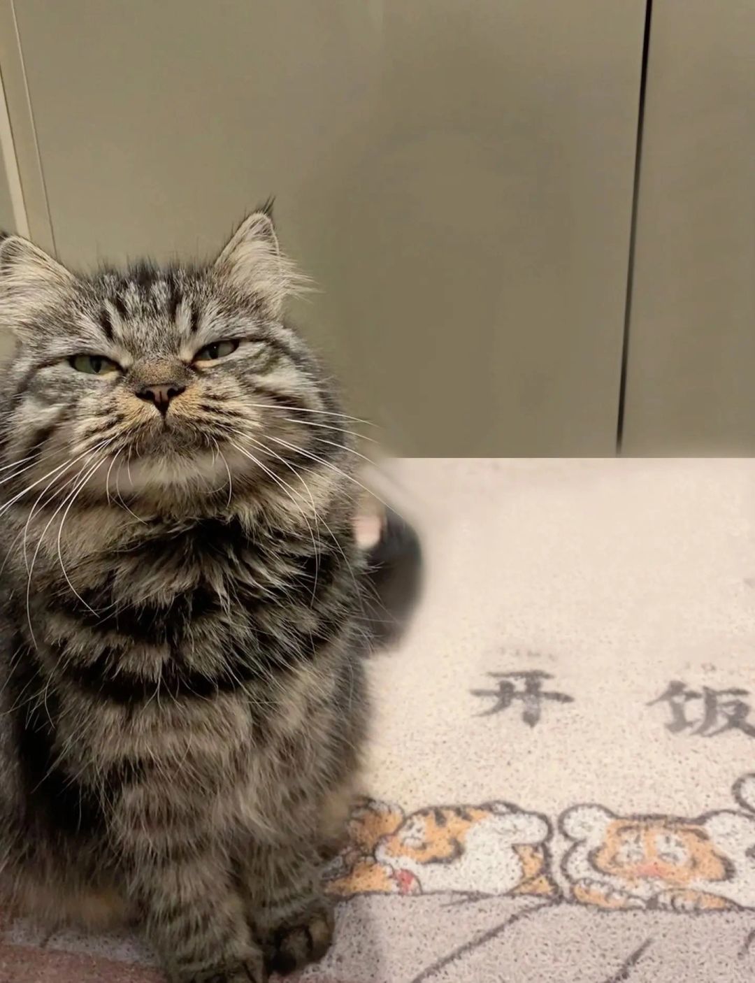 喜欢一个人的眼神是藏不住的