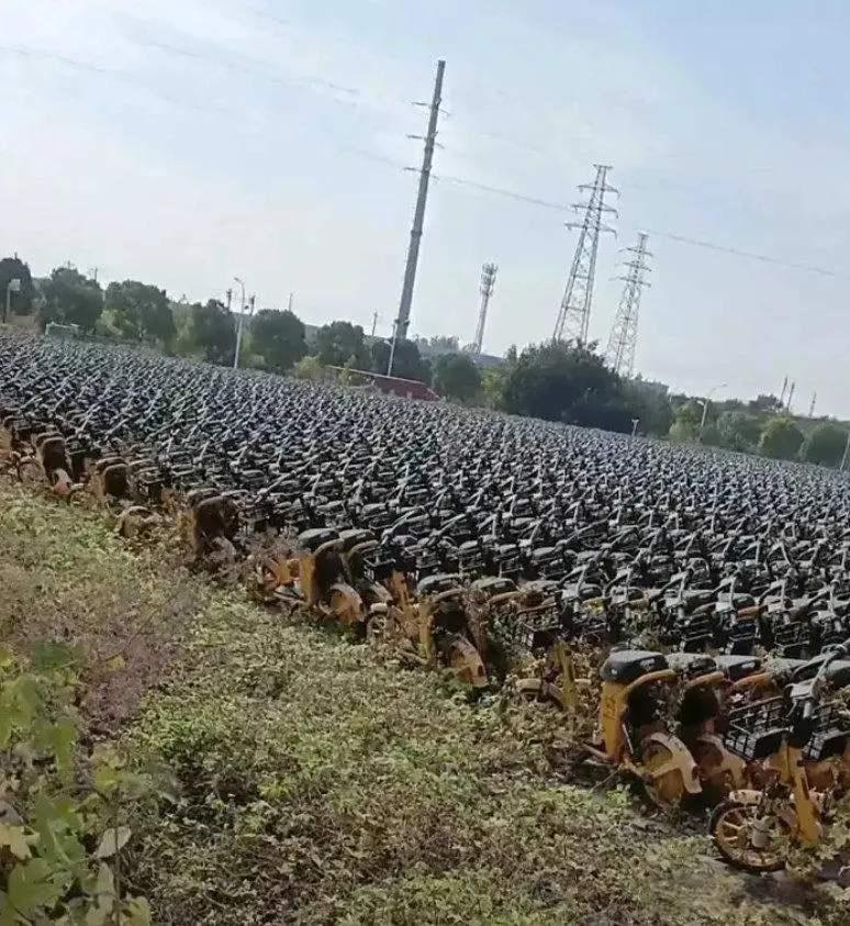 太浪费了，那么多共享单车为什么不便宜处理？

这些车很多是因为品牌违规投放被市政