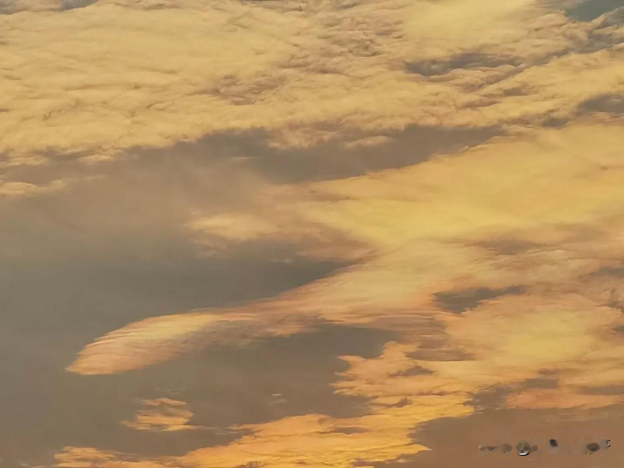 #每日一悟#
“每日一悟”是一个很有意义的自我提升方式呢。它可以是对当天经历的思