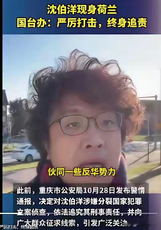 台独分子沈伯洋现身荷兰，再次挑衅大陆，此人在被我们通缉后，不断挑衅并刺激我们，前