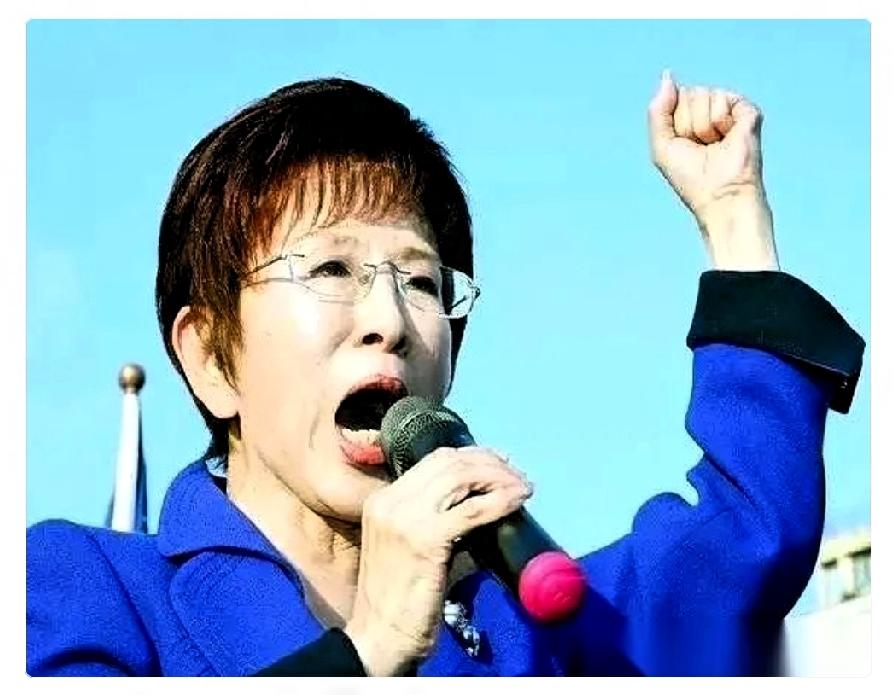 洪秀柱这话砸出来，台下嗡的一声。
她没说“交流”，没说“融合”，更没说“循序渐进