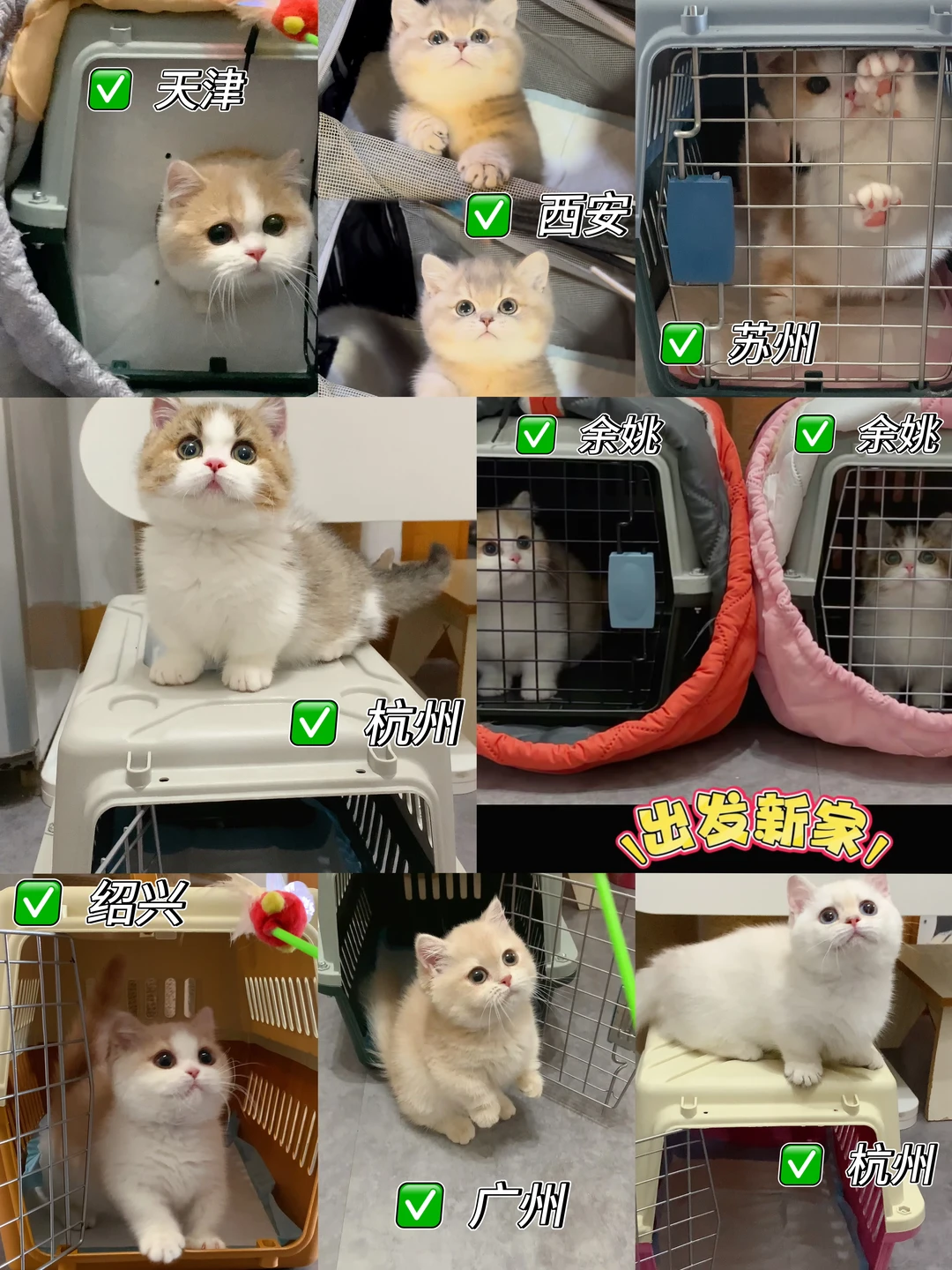 记录📝去新家系列