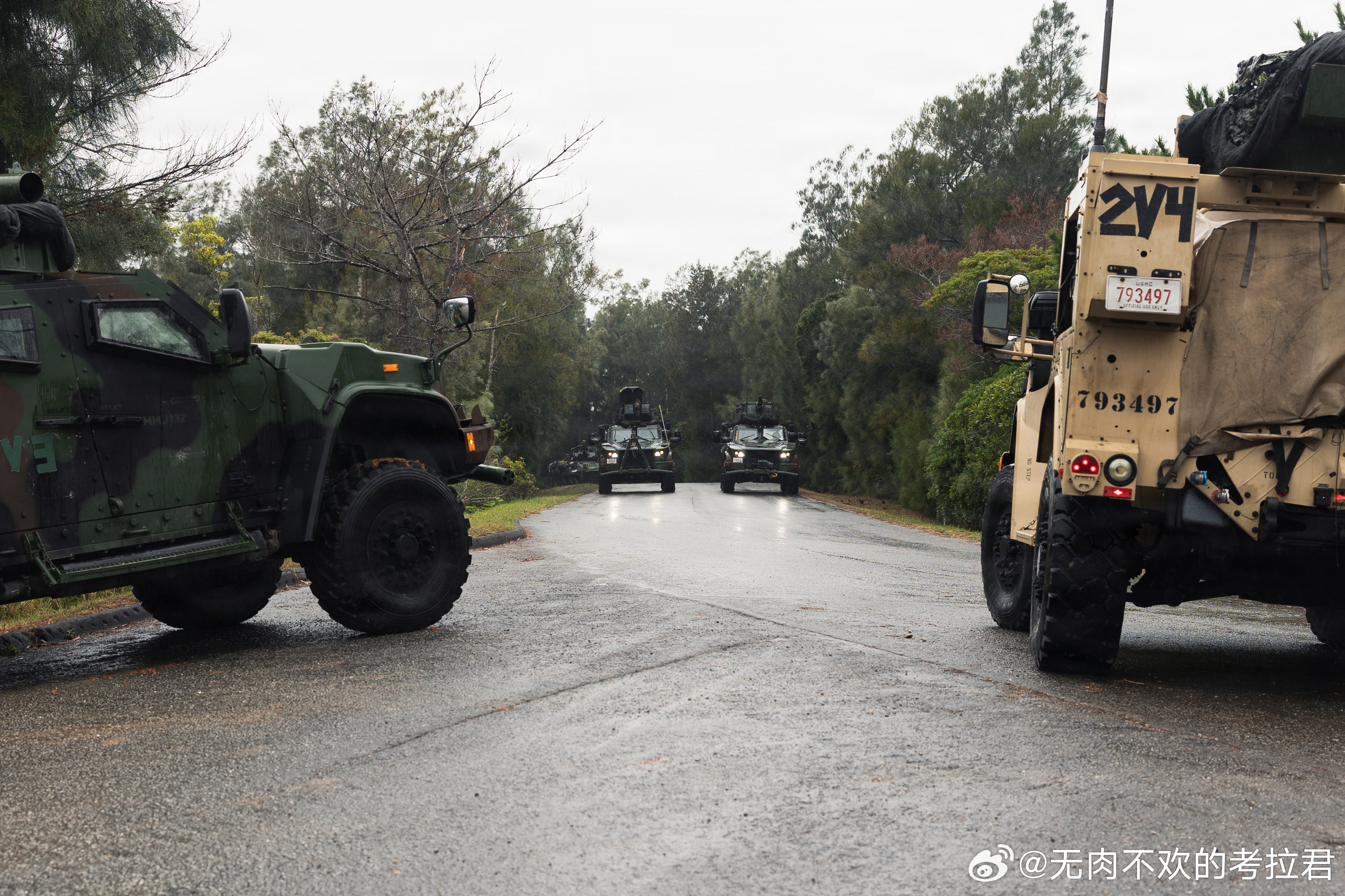 2026年2月，冲绳，31st Marine Expeditionary Uni