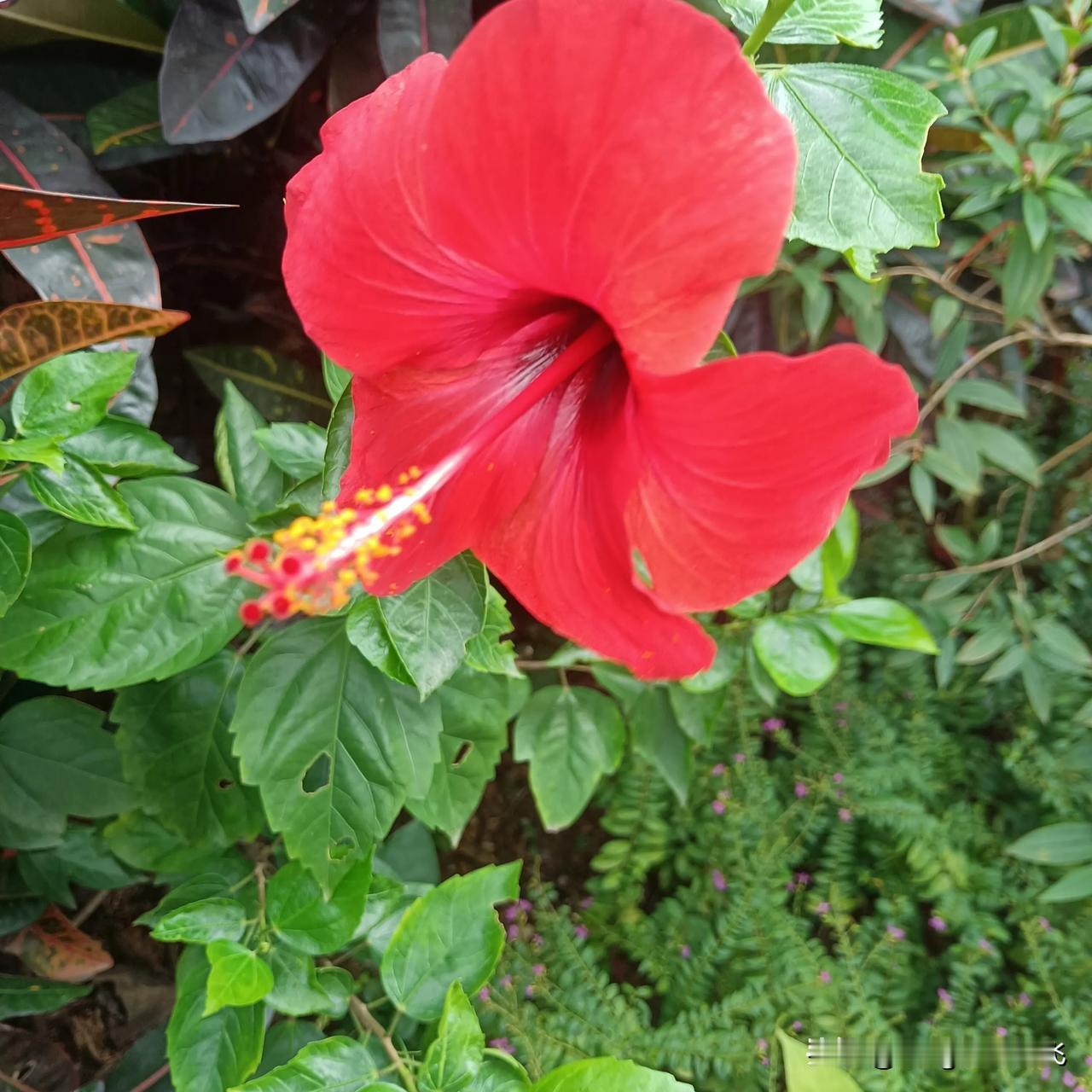 姐妹们，嫁人一定要嫁个成熟稳重且正直善良的人，他会对家庭很负责任，他会对你不离不