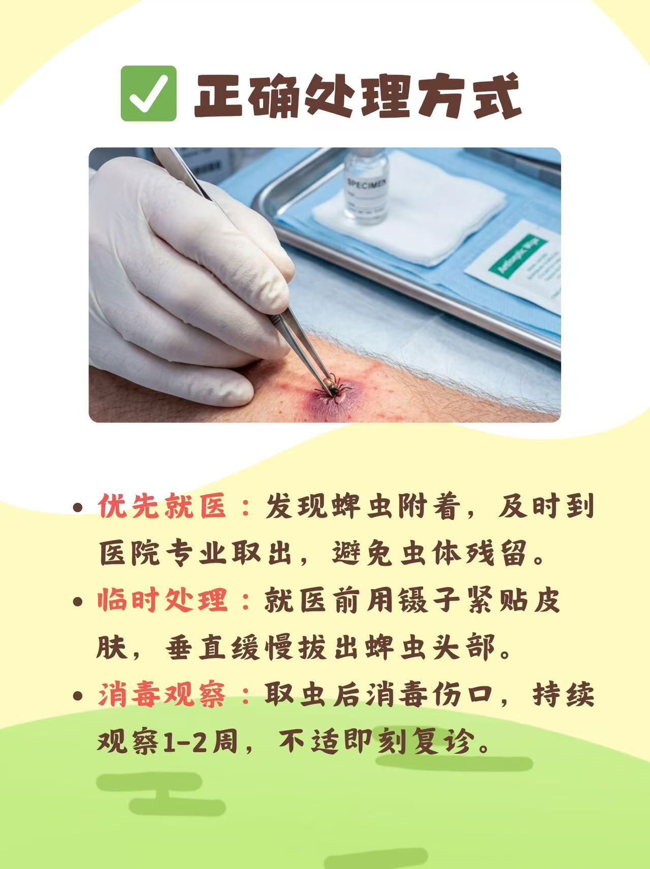 生活tips丨户外出行警惕蜱虫⚠️经常露营、爬山、遛狗、逛草坪的朋友务必留心草丛