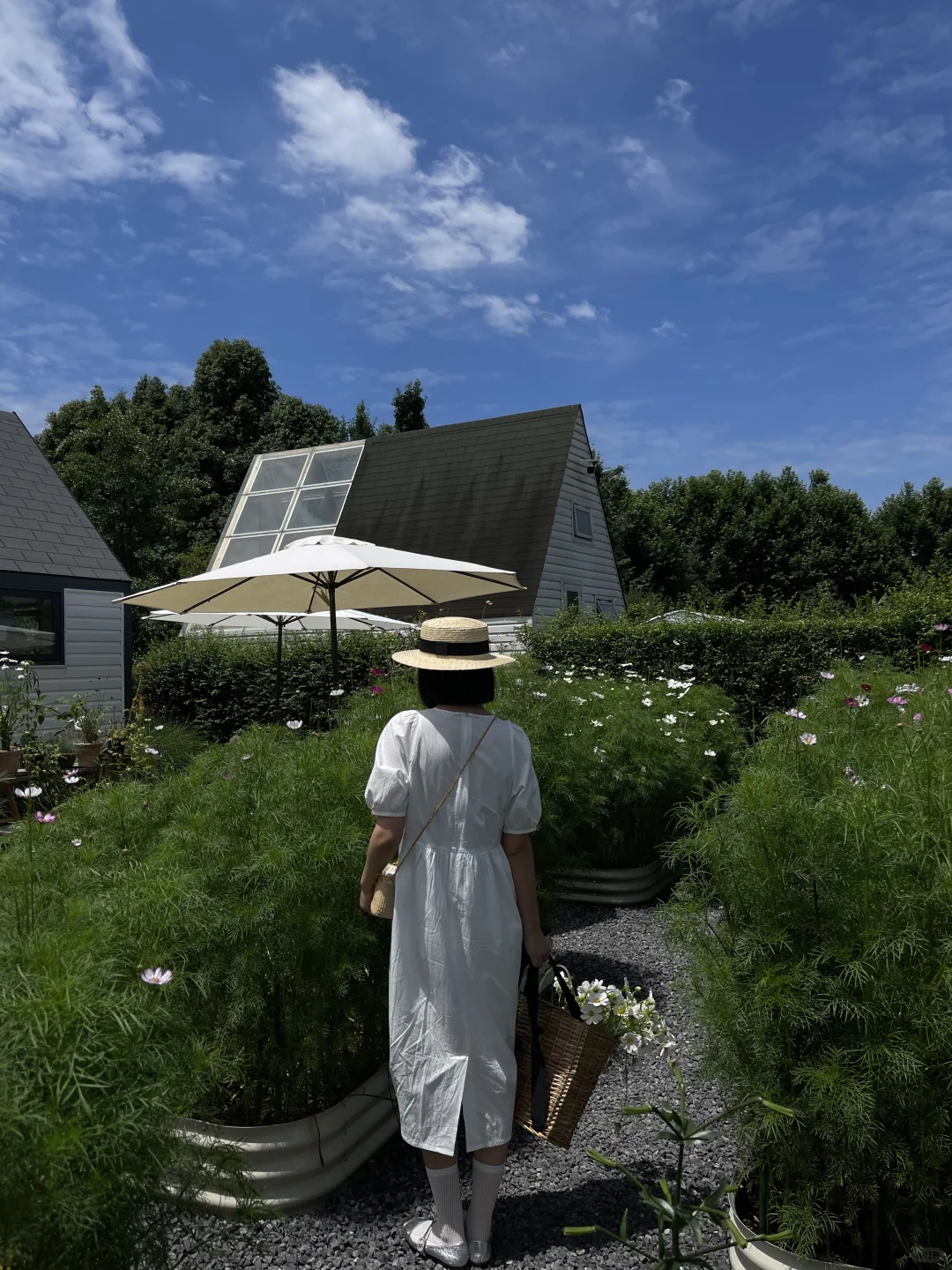 享受这悠闲时光