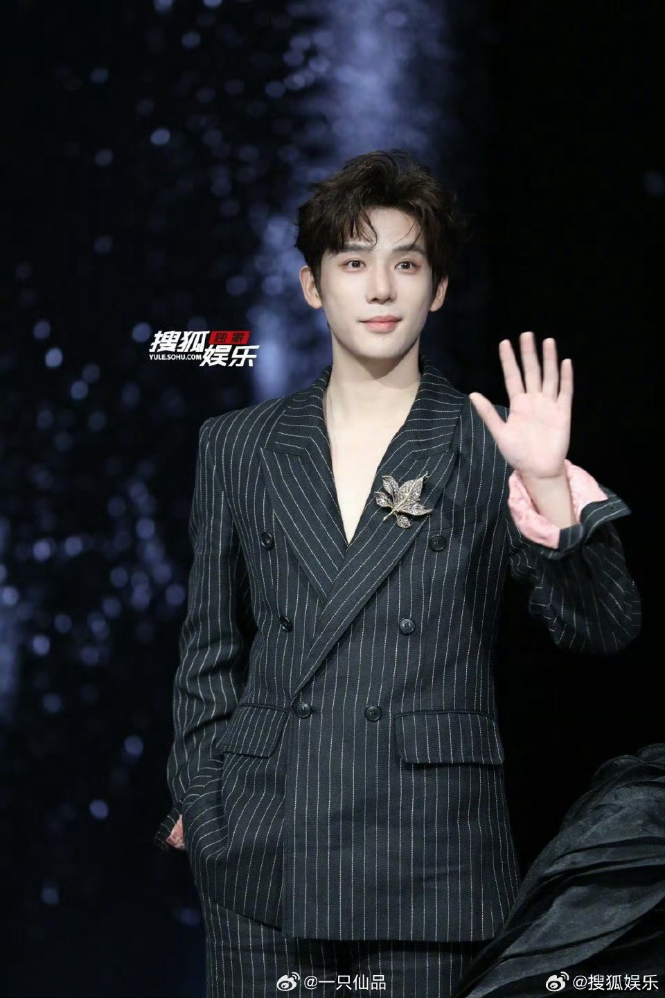 王安宇微博之夜红毯生图这就是行走的荷尔蒙美学，不愧是真实存在的权威，帅微博之夜 