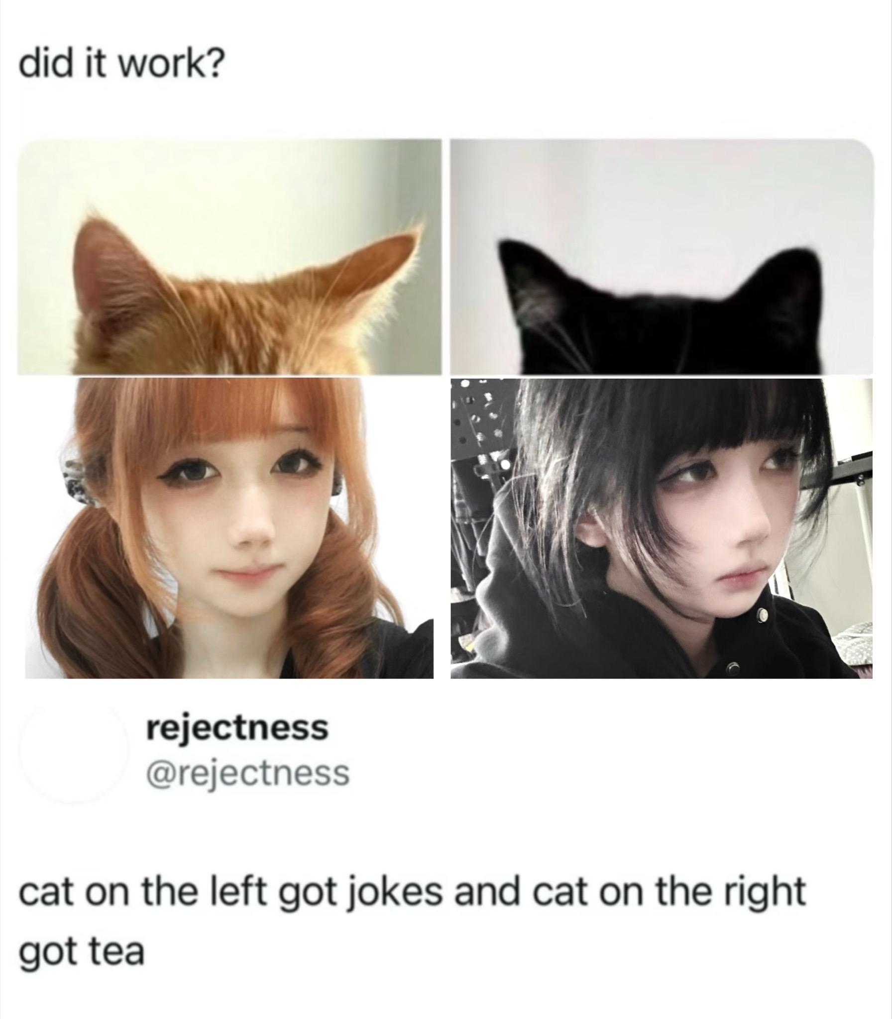 咪。