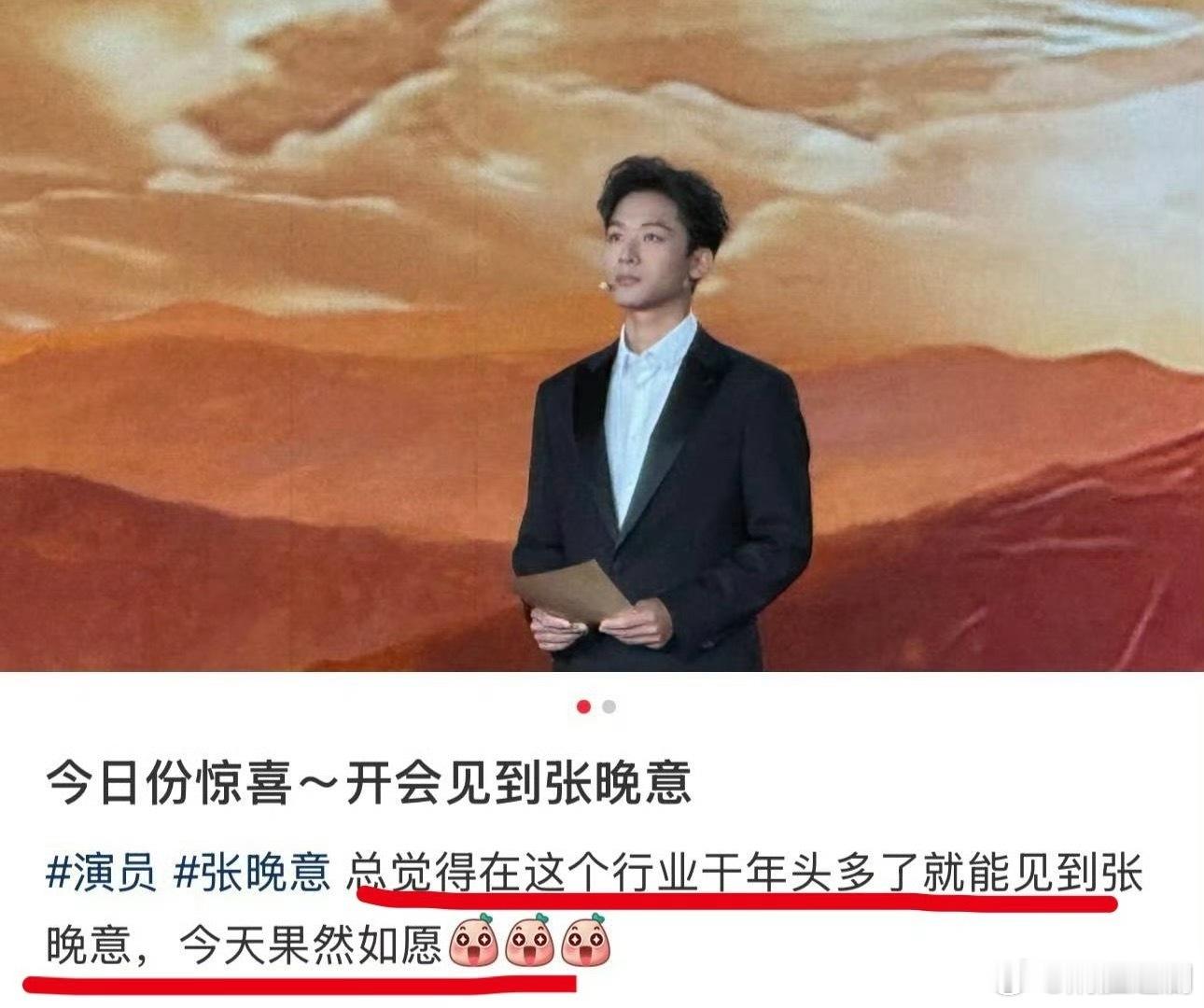 张晚意根正苗红！！！今日亮相央视2026节目的发布会，宣传总台明年的重点大剧《伟