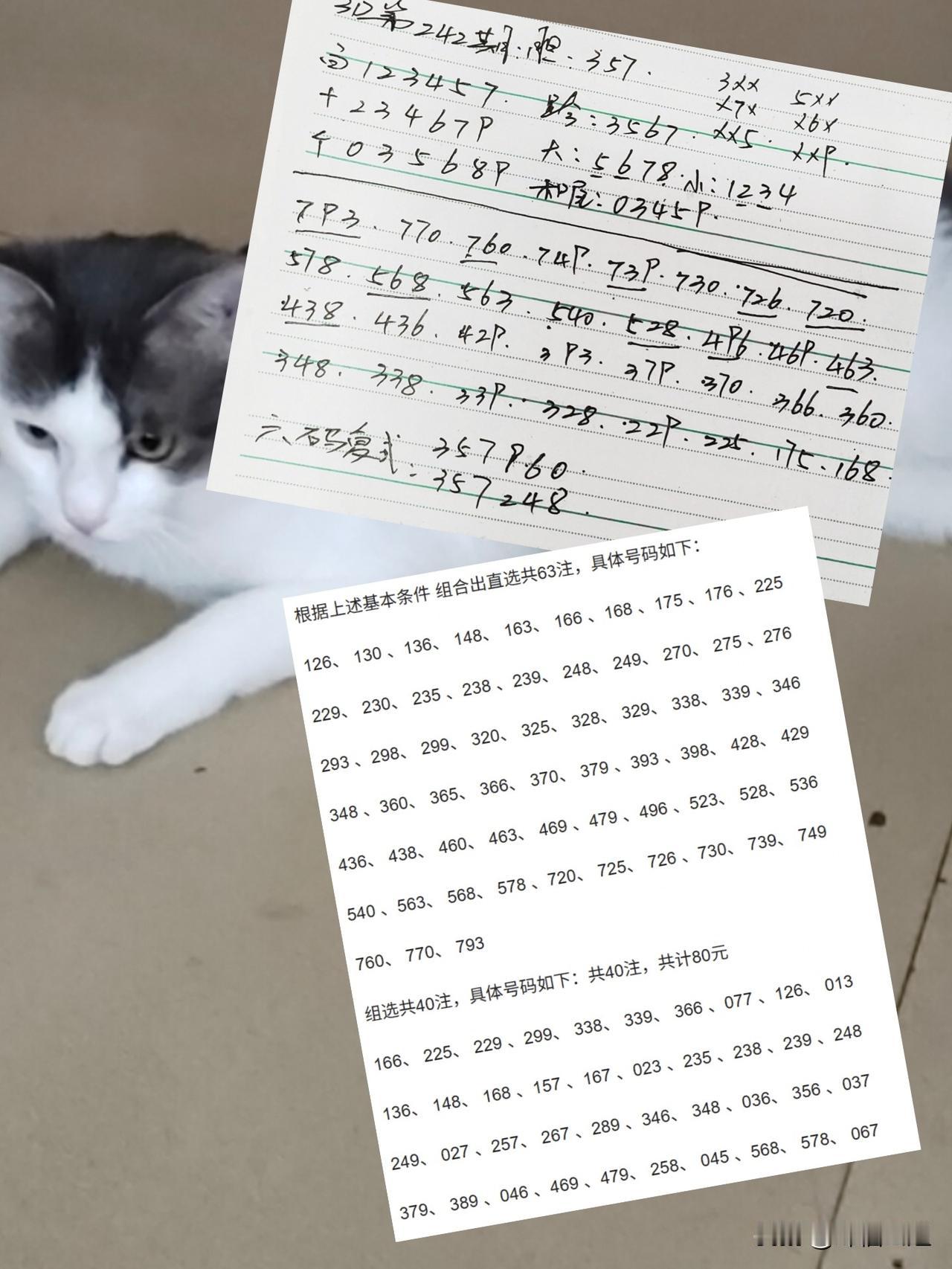你认为属于你的幸福是什么有几个知心朋友，难过开心都能分享。