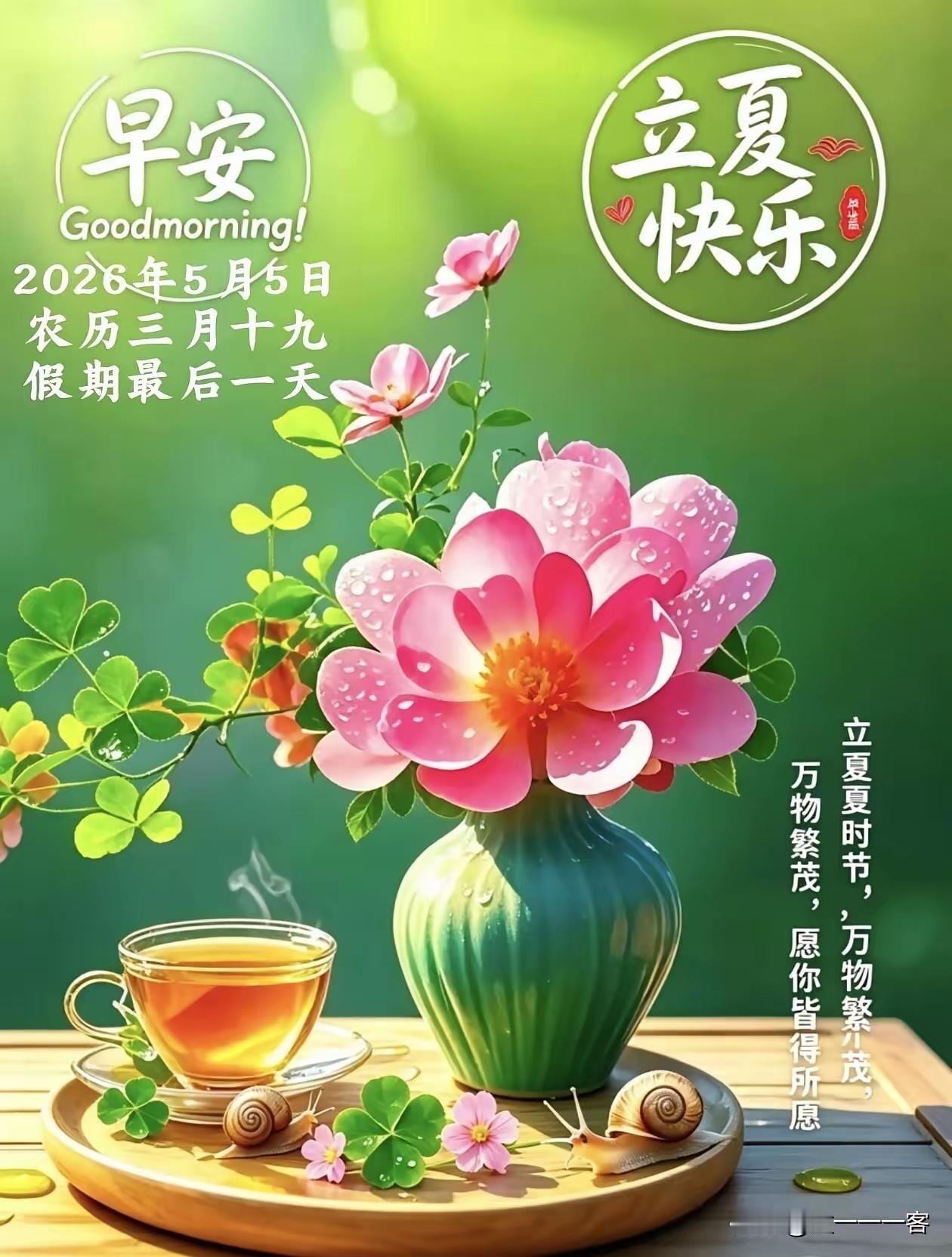 今日立夏，阳光明媚的一天又开始了。三伏立夏 立夏前一日 立夏情感 初夏治愈时刻 