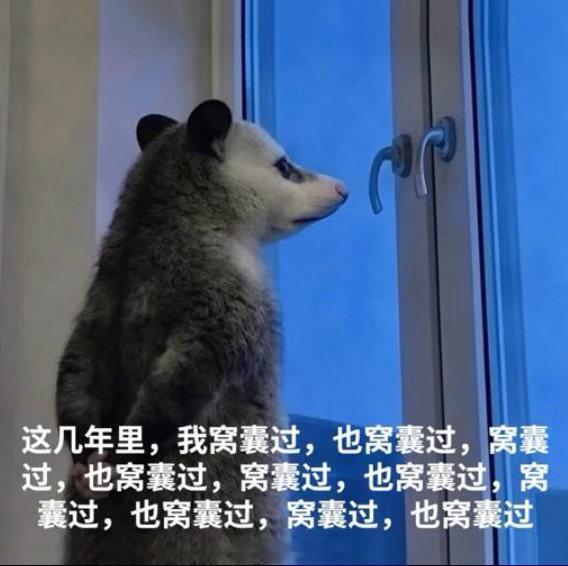 每次感觉到很委屈的时候，我就让自己多想想：我也不是什么省油的灯你们安慰自己的方法