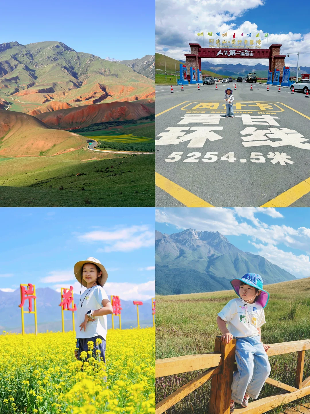 青海 | 山东人的专属免票福利