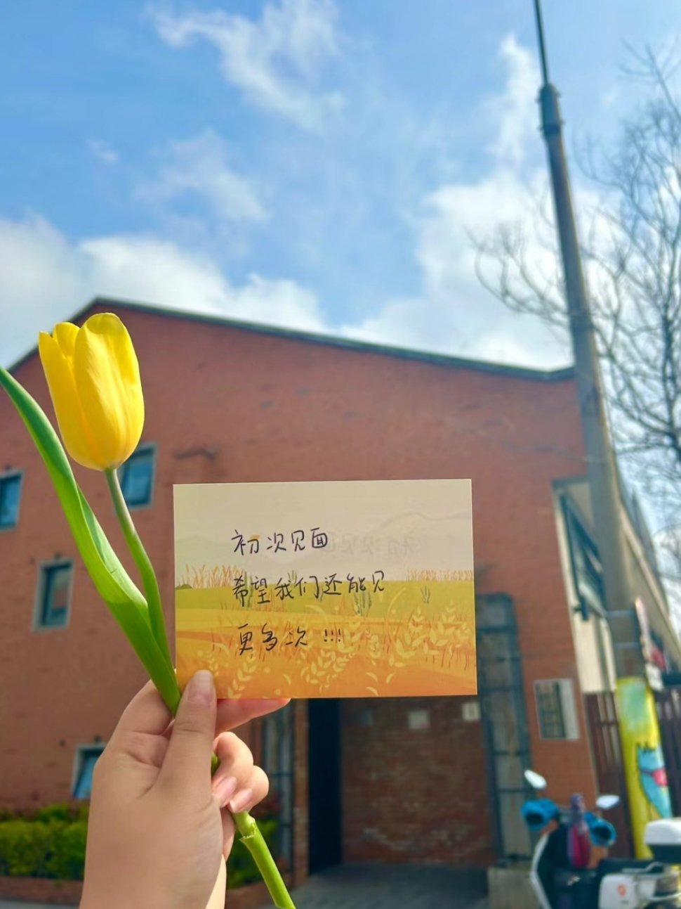 #十个勤天手写的郁金香贺卡# 大家怎么都有十个勤天手写的郁金香贺卡[泪]我也想要