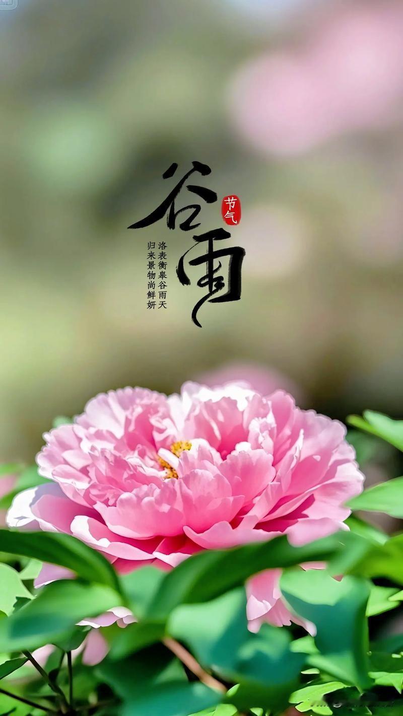 《谷雨打工日记》
[微风][微风][微风]
昨夜，春在他的值班室里
泡了今年的第