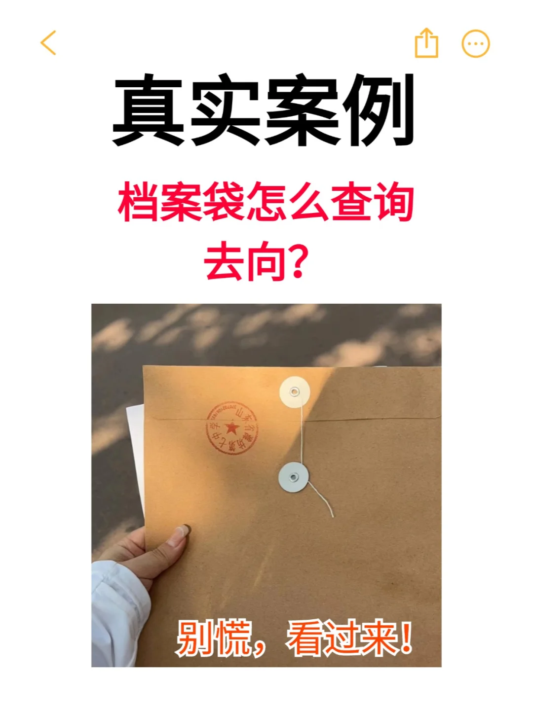 档案袋怎么查询去向？💁‍♂️