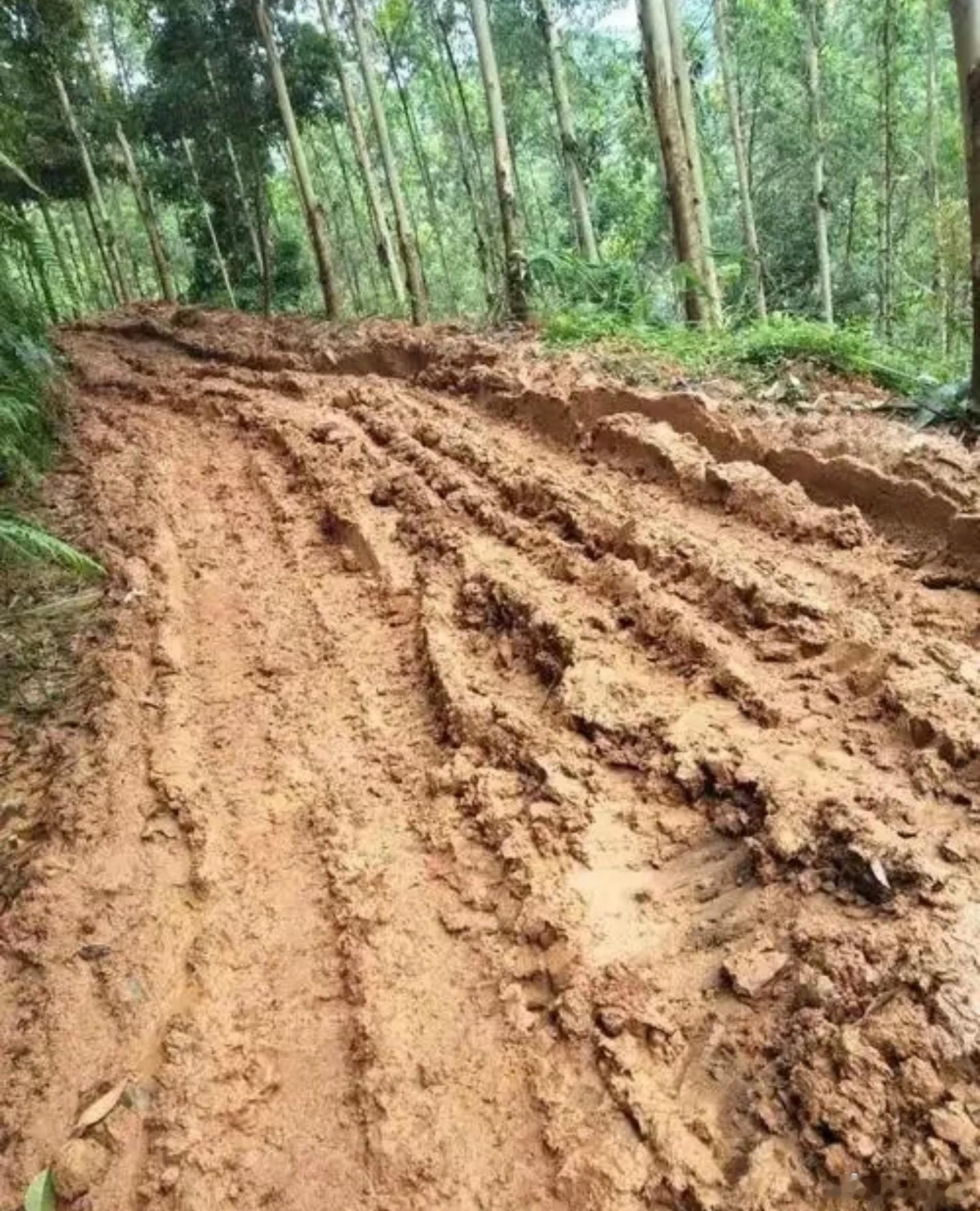 这种才是崎岖泥泞的路面 