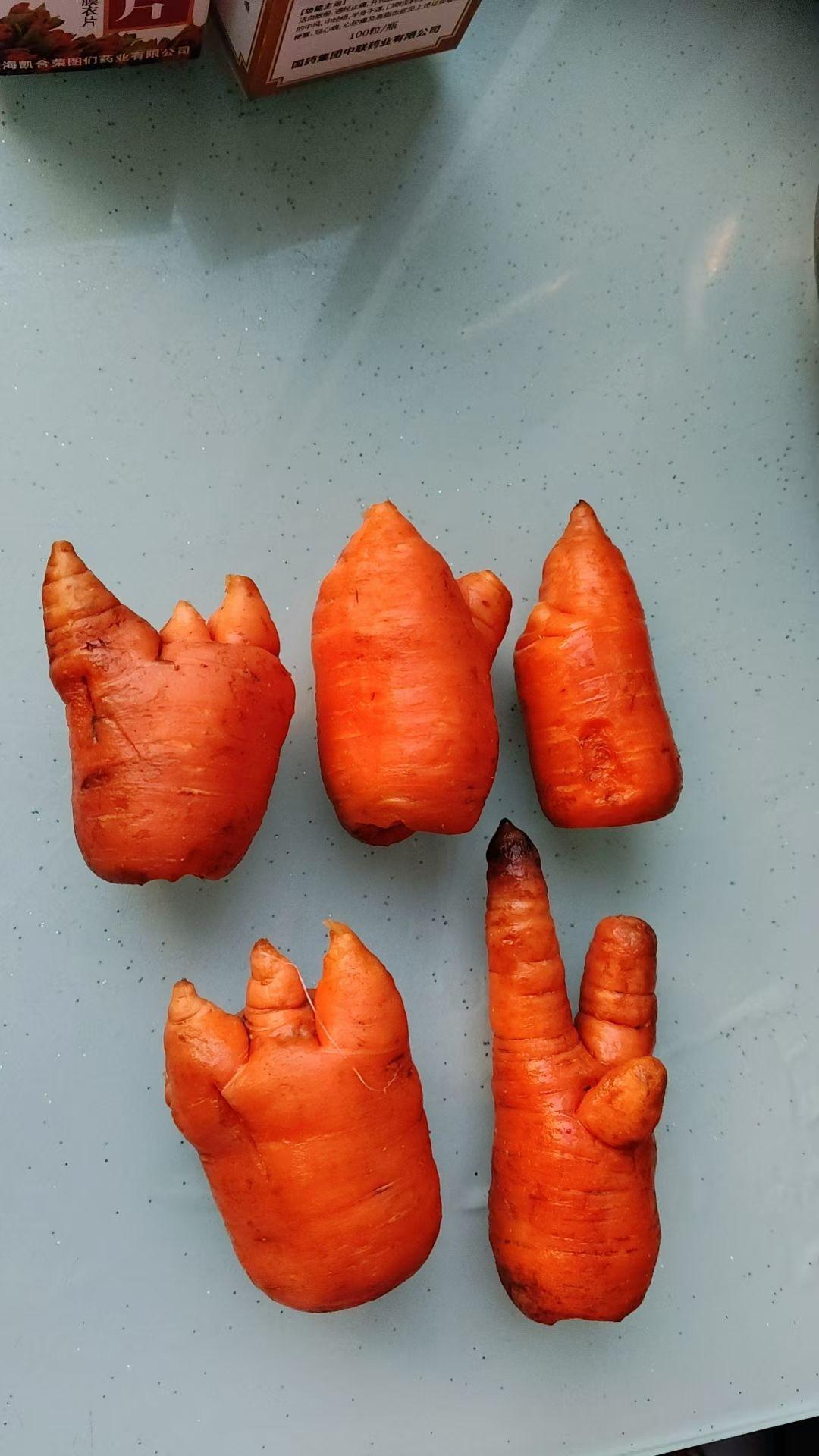 生命
它实在算不得一根体面的胡萝卜。泥污斑驳，从土里带出的狼狈还未褪尽。最奇的，