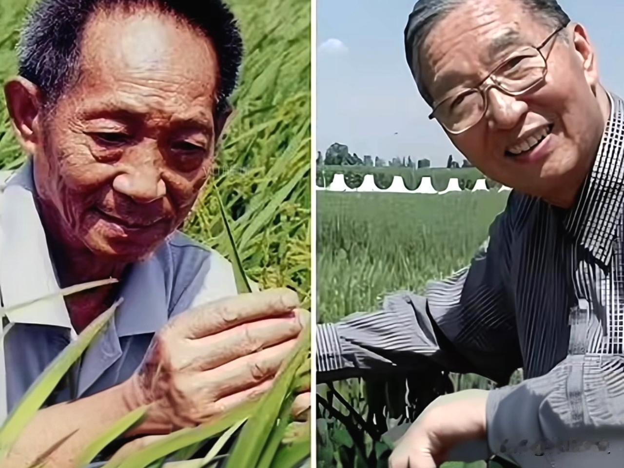 先问大家一个问题：你喜欢吃面条吗？如果喜欢，请一定要记住这个名字——李振生，他是