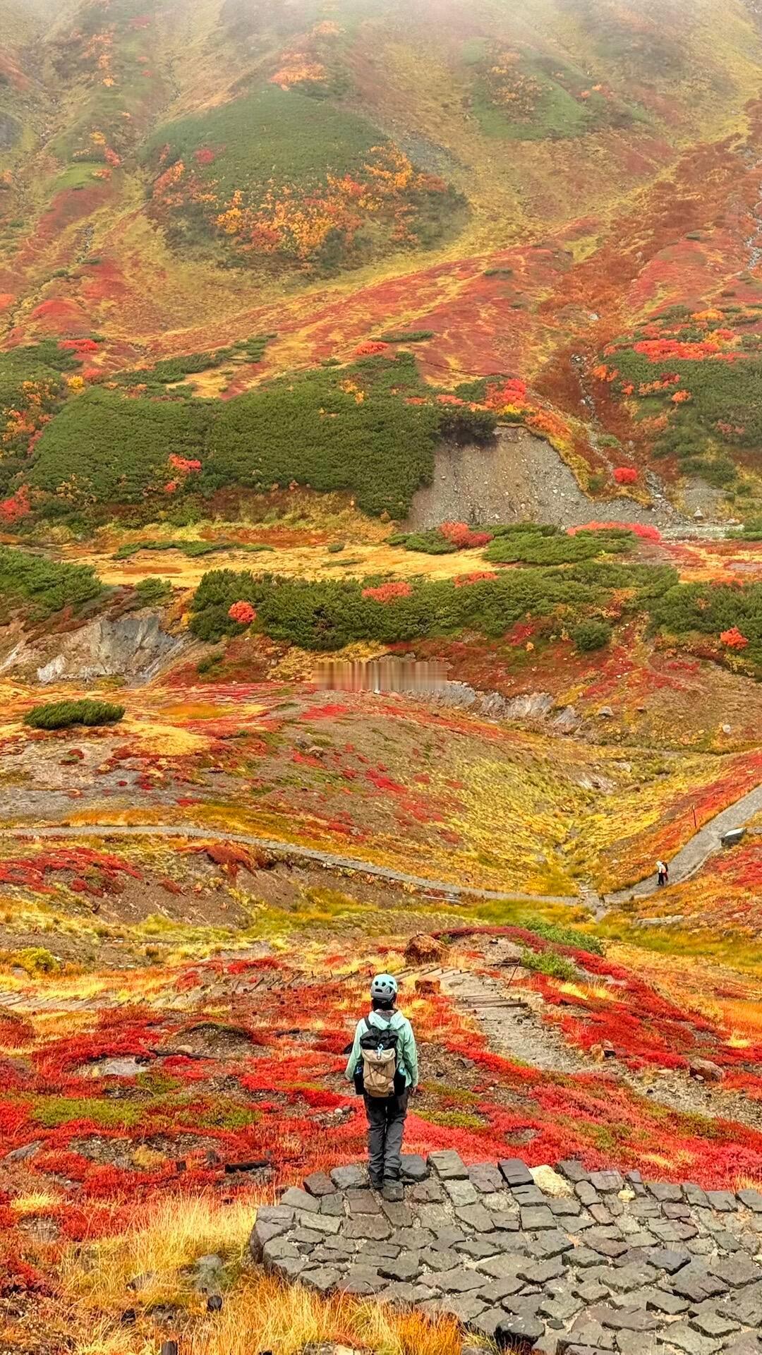 立山像是闯进了油画世界立山像是闯进了油画世界 ​​​