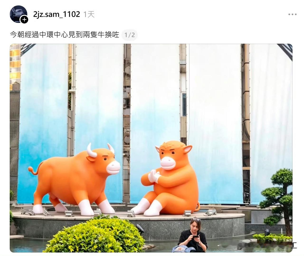 有人发帖表示，香港中环中心的牛换了！

结果一大堆人去朝圣，毕竟中环中心的牛是著
