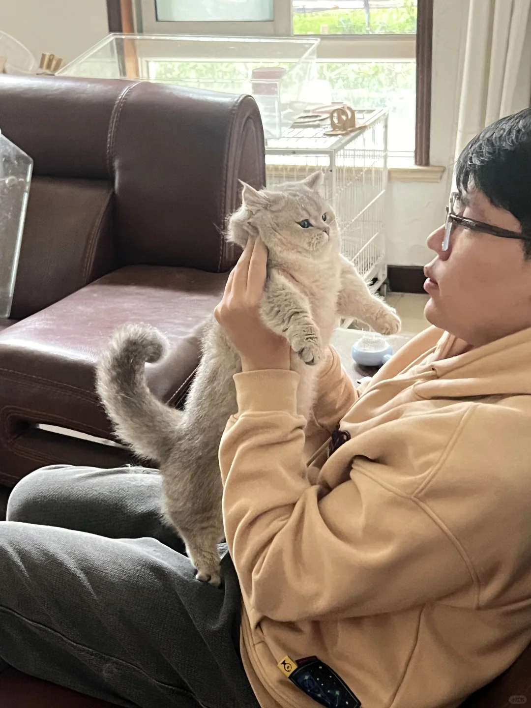 可爱的想一屁股压鼠