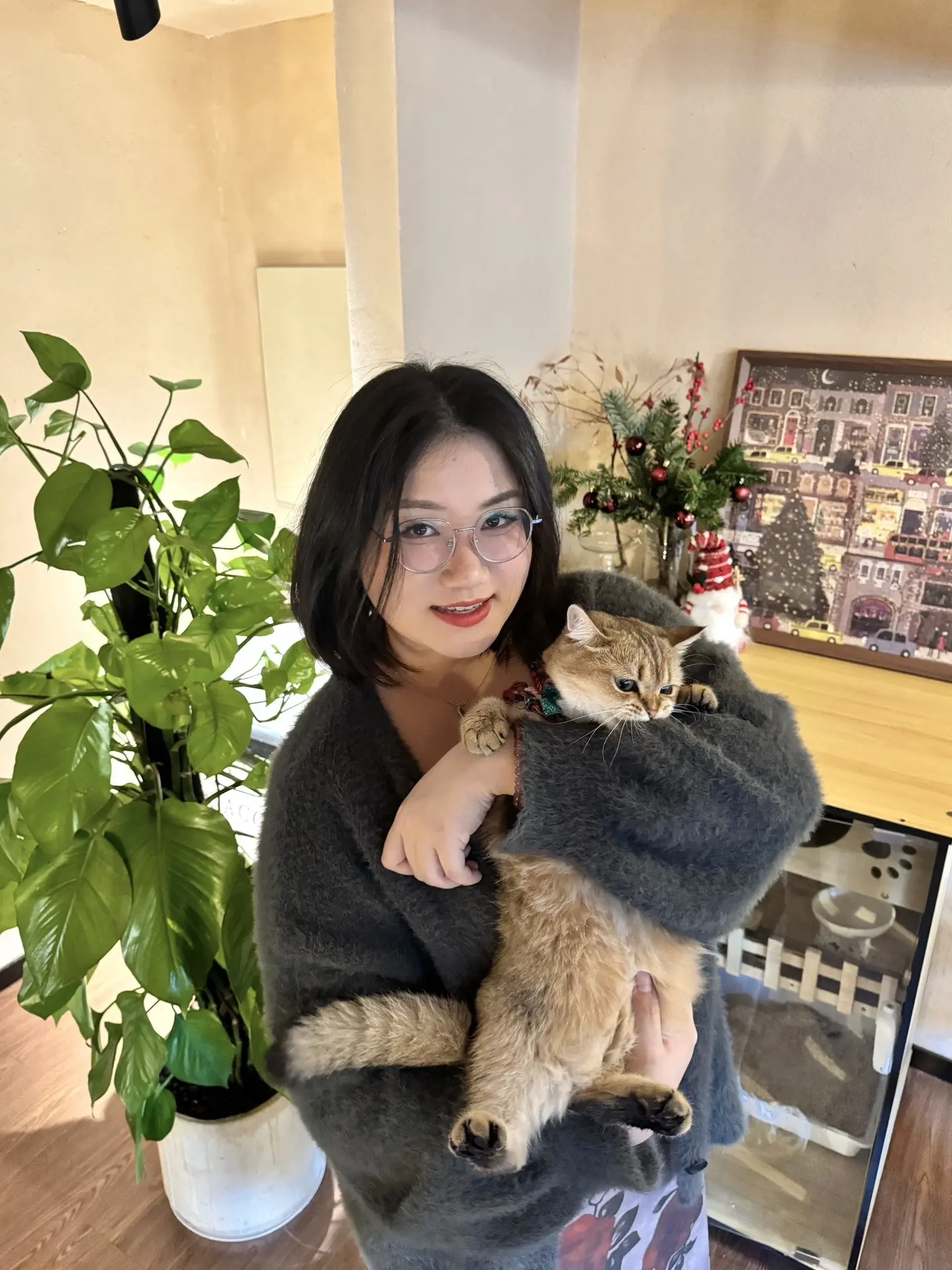 调皮的小猫猫好像也有它的烦恼🍭