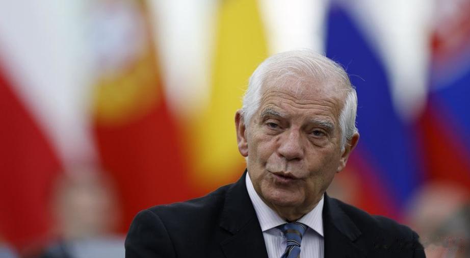 欧盟应该动员所有力量。欧盟外交部长博雷利在接受英国《每日邮报》采访时候称，如果欧