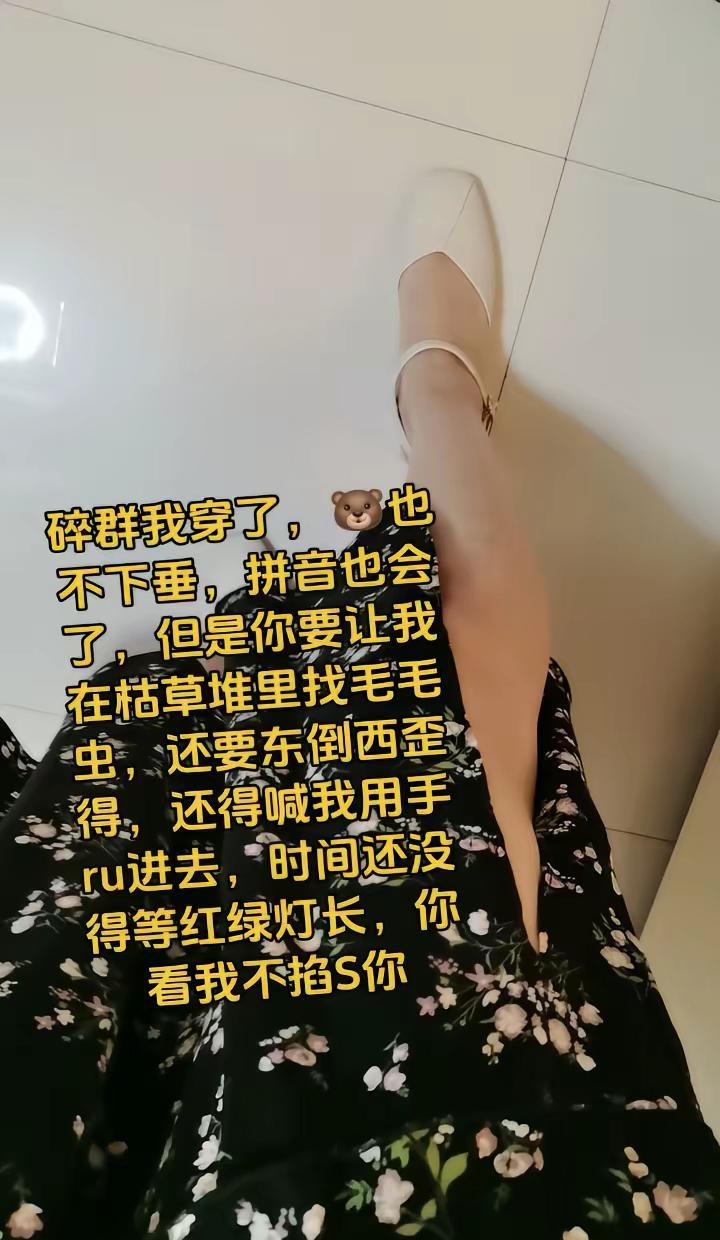 碎群我穿了，🐻也不下垂，拼音也会了，但是你要让我在枯草堆里找毛毛虫，还要东倒西