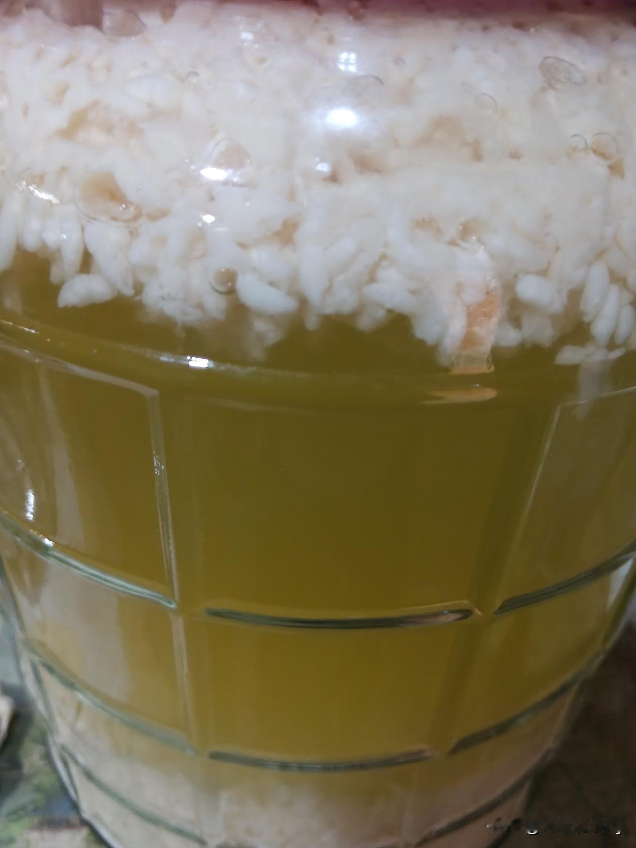自制黄酒二次发酵快完成啦，想想就兴奋！二次发酵能让黄酒口感和品质更上一层楼。它是