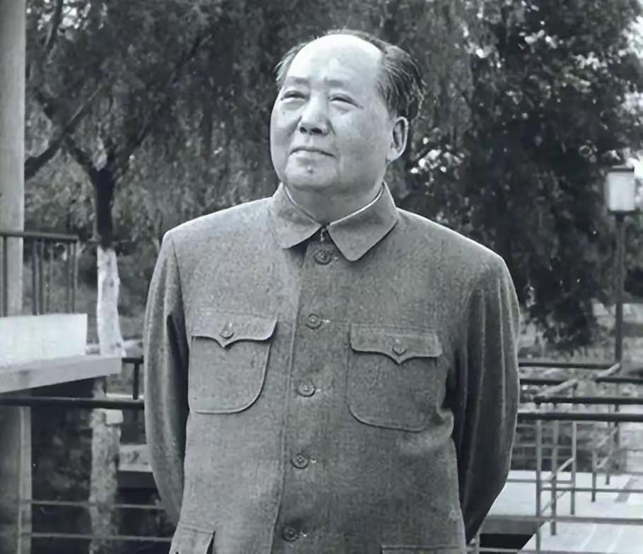 英国学者一语惊醒梦中人：毛主席27年不是搞经济，而是让5亿文盲重获新生，把35岁