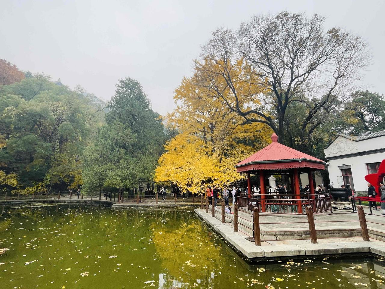 大盘修复到多头，风格回归产业链1106

今天在外出差。简单午评。
今天大盘突破