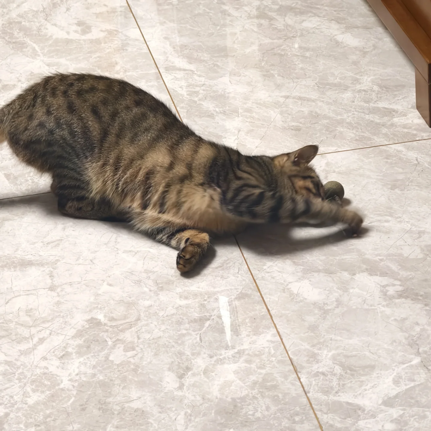 啊，五月好多了。 	 虽然事情还是很多，但是终于没有那种改了一版又一版...