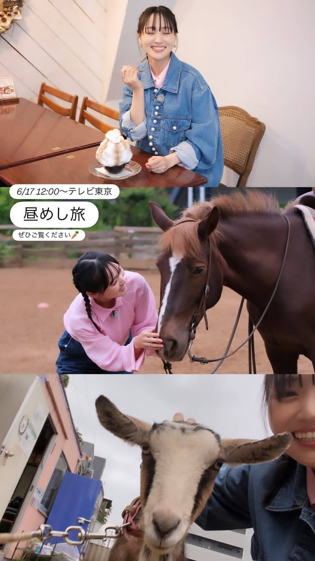 日娱新闻菅井友香 菅井友香ins、推特相关 