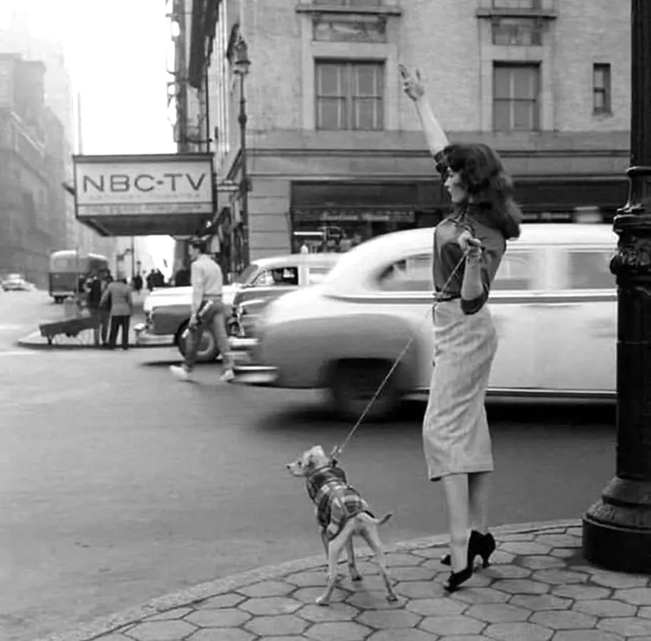 1956 年的纽约街角。(Herman Leonard 摄)