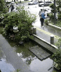 女子为了偷盆花，差点摔倒，喜欢花可以去买一盆，像大妈这样偷拿盆花不顾自身安全也是