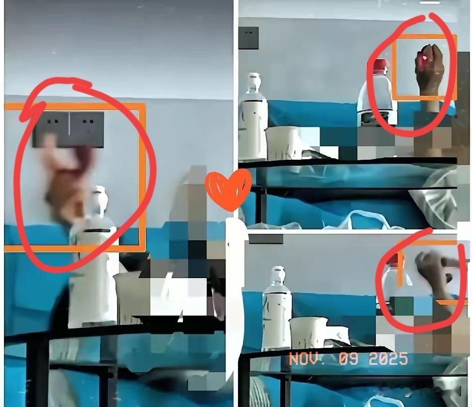 大家看看这是不是手里拿的录像遥控器？
我也觉得看机位就是自己录的。怎么泄露的存疑