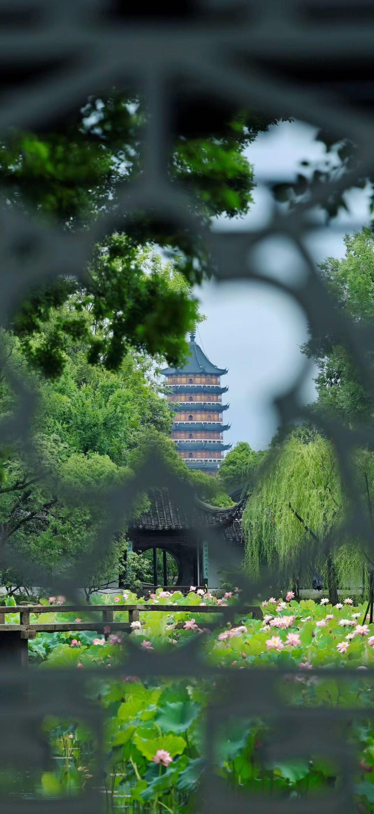苏州旅游，拙政园园林打卡攻略！
📍苏州市姑苏区东北街178号
🎫需门票
🗺