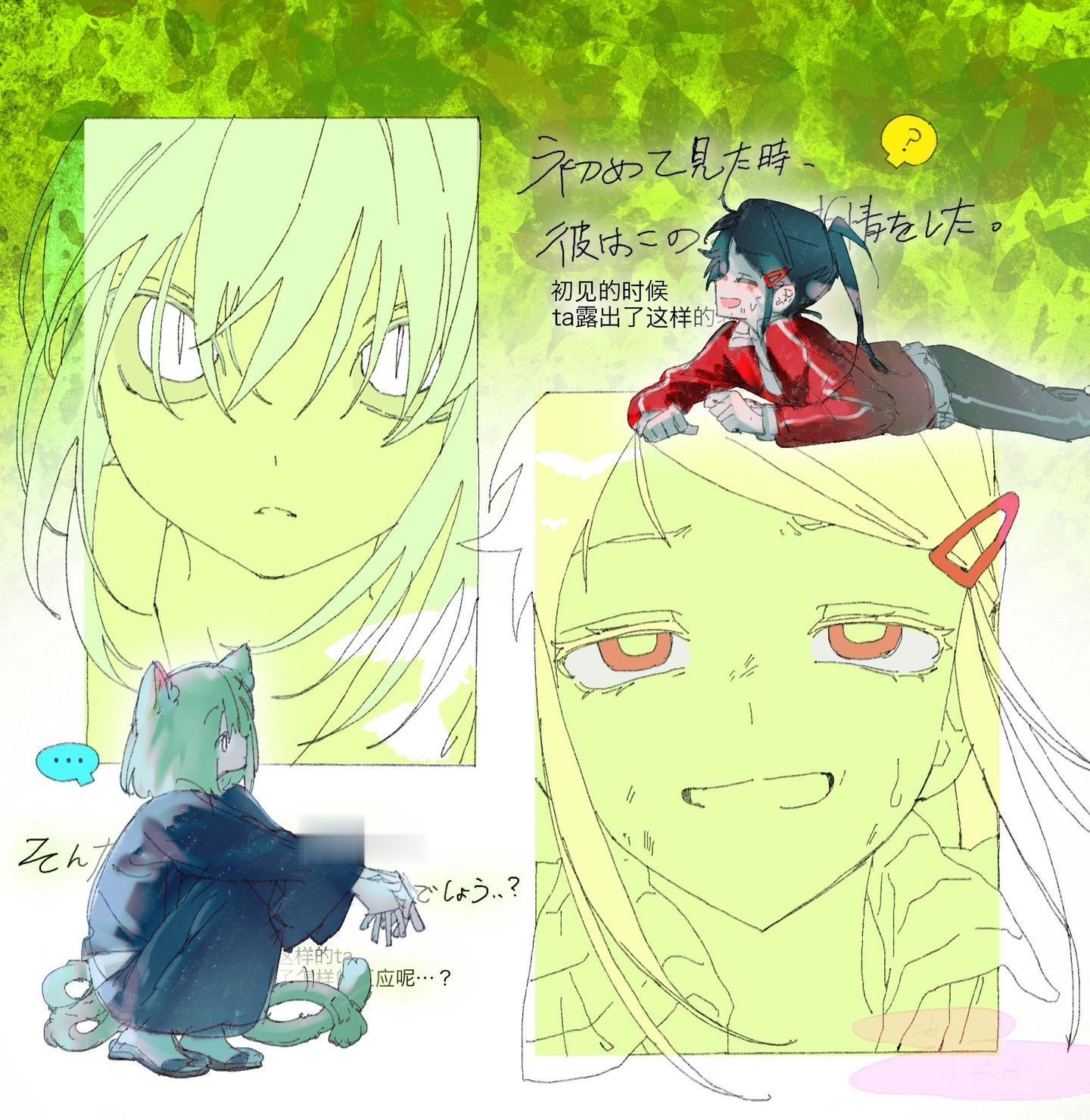 买回来的猫在一直叫。